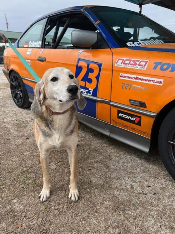 NASA Southeast Spec3 Racer Rescues Dog on the Roadside