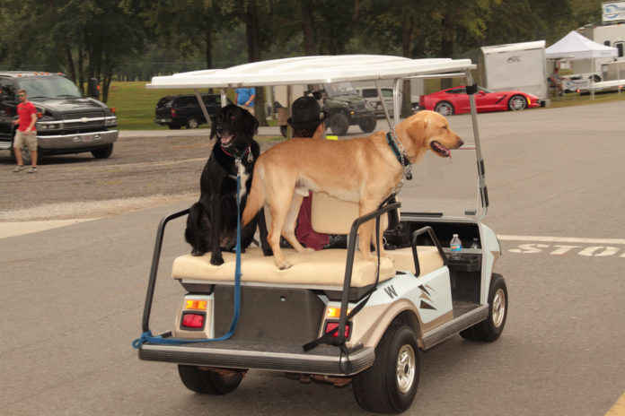 Paddock Pooches: Hounds of NASA 2024 - NASA Speed News Magazine